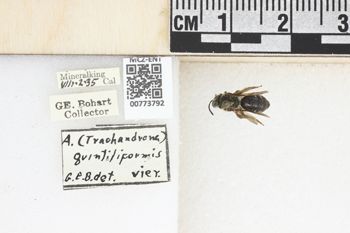 Media type: image;   Entomology 773792 Aspect: Labels